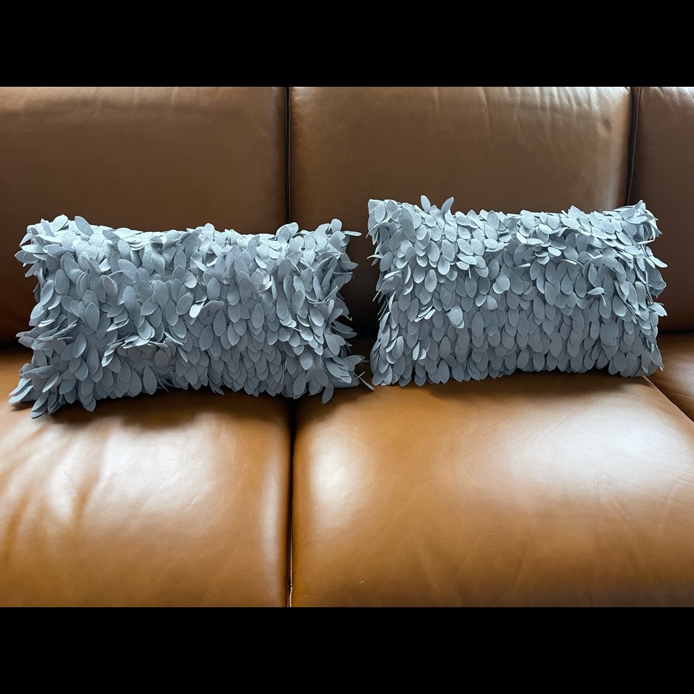 2 18” Grey Palette Pillows